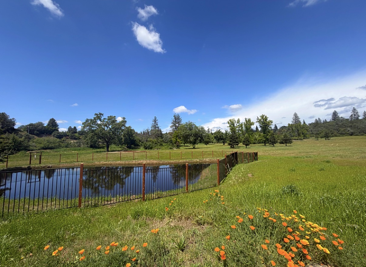 Pond and meadow at Auburn RV Resort