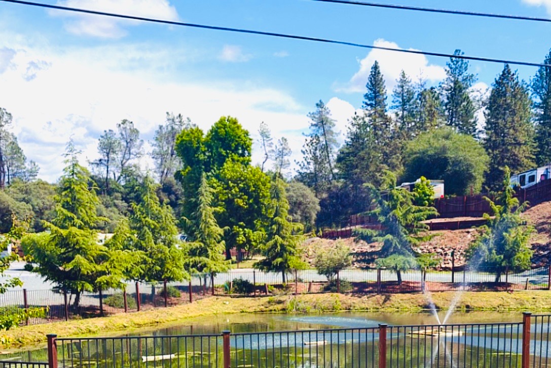 Pond with fountain