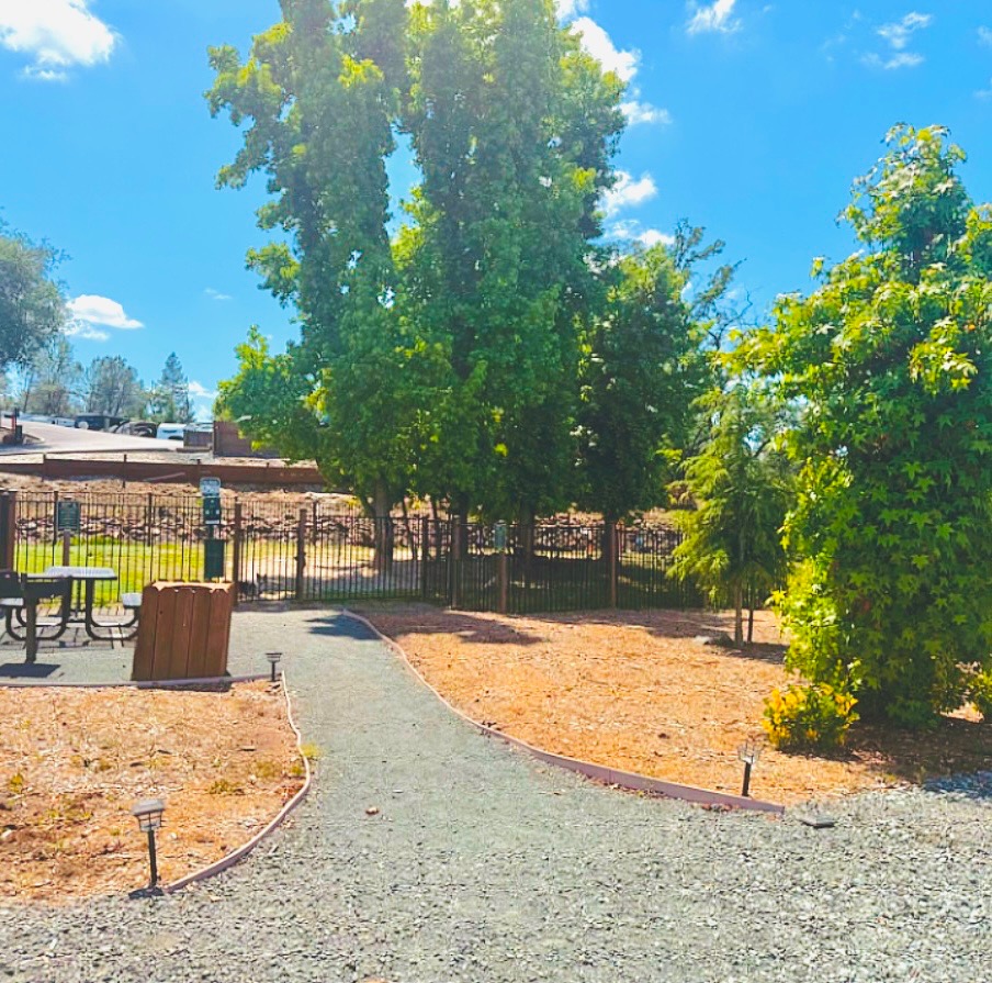 Path to the dog park