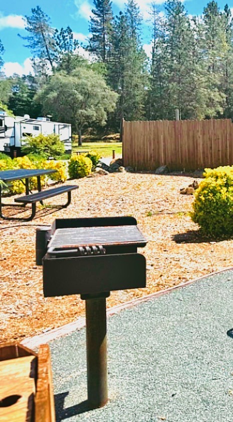 BBQ grill and picnic table