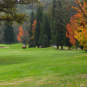 Black Oak Golf Course